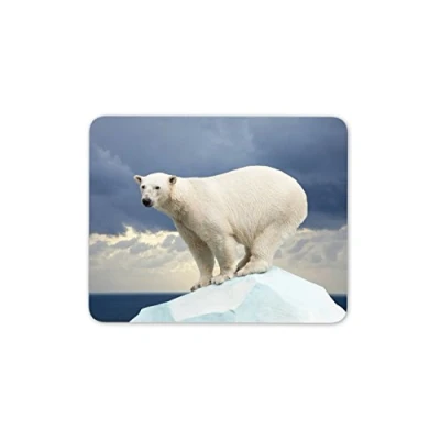 Image of Destination Vinyl Ltd Polar Bear Mouse Mat Pad Iceberg Wild Animal Bears Fun Gift PC Computer #8586