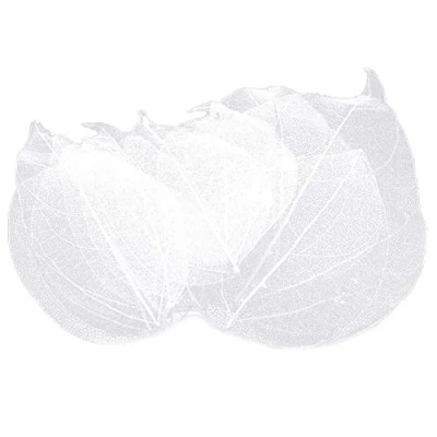 Image of 36pcs Natural Skeleton Leaf Dry Leaves Scrapbooking Diy Material Scrapbook Craft Card Wedding Large