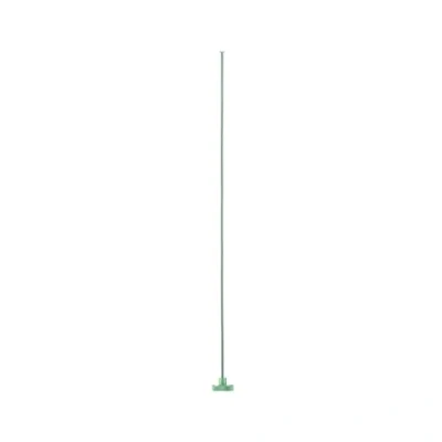 Image of Paulmann Neordic Tilla hanging light, light green