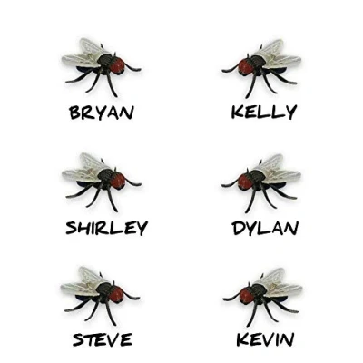Image of Small Carded Joke Flies On The Wall