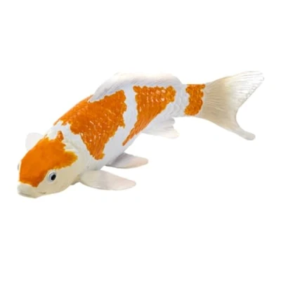 Image of Koi Carp Ochiba Shigure