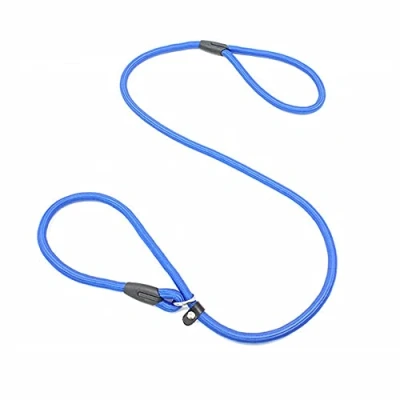 Image of Angelkiss Dog Slip Lead Nylon Training Leash Rope Traction Pet for Small Medium Dogs(Blue)