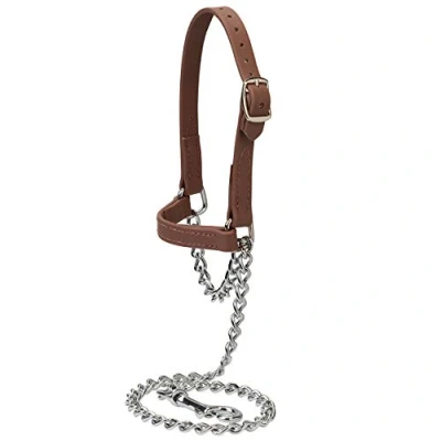 Image of Brahma Webb ® Goat Halter, Medium, Brown