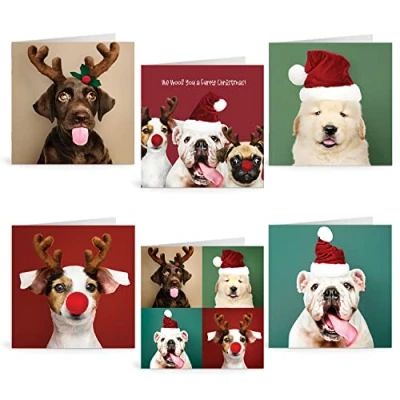 Image of Ruby Ashley Charity Christmas Cards Pack of 30 Xmas Cards. Quality Funny &amp; Cute Dog Multipack Made in the UK. Recyclable Boxed Envelopes