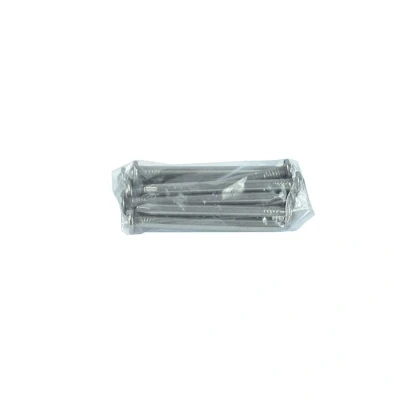 Image of Saint Gobain Classical Cast Iron Downpipe 75mm Pipe Nails Pack of 10 Pam Building Products