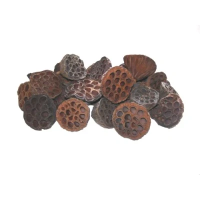 Image of Flowerhour 50 Natural Dried Lotus Heads