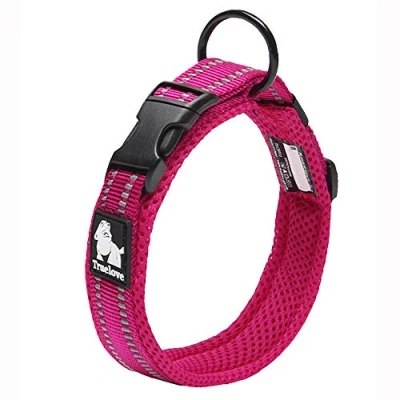 Image of Truelove Dog Training Collar TLC5011 Reflective Premium Buckle Nylon Webbing Pet Collars,High Grade No Choke Basic Collars Now Available (2XL, Fushcia)