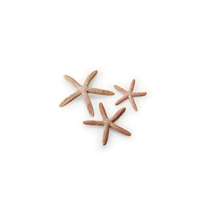 Image of biOrb starfish 3 piece set Natural