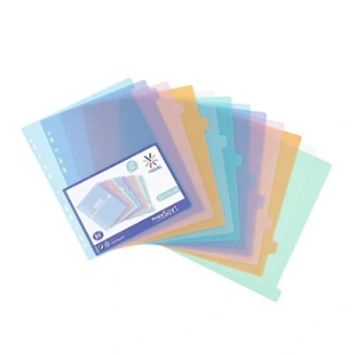 Image of Viquel Pack of 12 Plastic dividers Maxi Format (24.5 x 30.5 cm) for A4 Binder or Lever Arch File