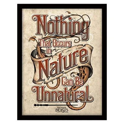 Image of Fantastic Beasts Nature Framed 30 x 40cm Print, MDF, Multi Colour, 40 cm
