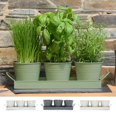 Image of CKB LTD Set of 3 Metal Herb Plant Pots with Drip Tray Traditional Indoor Windowsill Coloured Planter Box for The Kitchen Grow Your Own Herbs Cooking (Sage Green)
