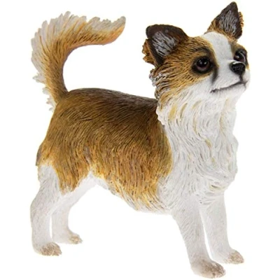 Image of Lesser &amp; Pavey Longhaired Fawn White Chihuahua, H9cm
