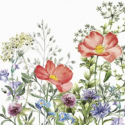 Image of DAISY 3 Ply Spring Flowers Tissue Paper Napkins Serviettes for Decoupage Lunch 33cm x Pack of 20 (Meadow in June)