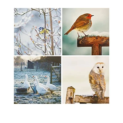 Image of UK Greetings Multipack of 16 Christmas Cards for Him/Her/Friend 4 Photographic Bird Designs