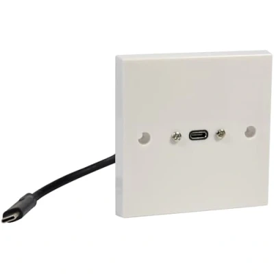 Image of AV:Link Fast Charge USB Type C Wallplate with Male Tail, 40Gbps Data Transfer, PD &amp; QC Compatible, 190mm Rear Tail Standard UK Fit