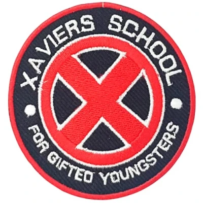 Image of Xaviers School Gifted Youngsters Iron on Sew Embroidered Patch