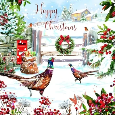Image of GBCC Charity Christmas Cards Pack of 6 with an Artistic Pheasants and Robin Design Eco Friendly Xmas Multipack Envelopes
