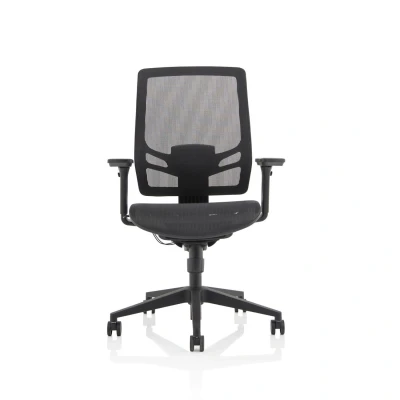 Image of Ergo Twist Black Mesh Seat Back