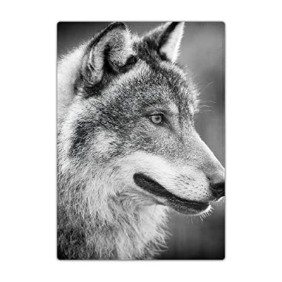 Image of Passport Holder Cover, PU Leather Travel Wallet Case Organiser for Passport, Business Cards, Credit Boarding Passes (Wolf)