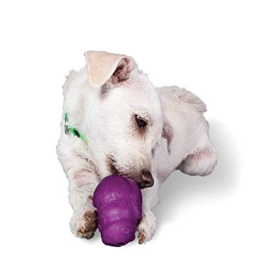 Image of PetSafe Busy Buddy Squirrel Dude, Interactive Treat Dispensing Dog Toy Chew Toy, Small Dogs