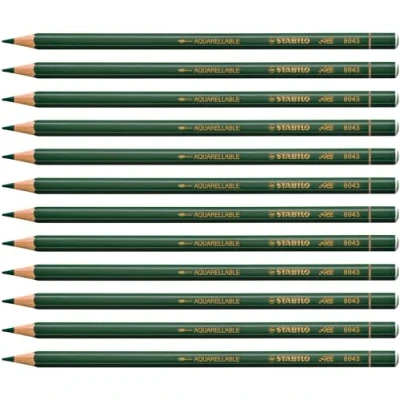 Image of STABILO Coloured and Graphite Pencil All Pack of 12 Green