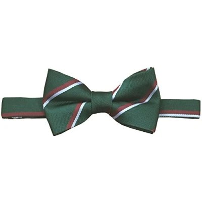 Image of Staffordshire Regiment (Ready Tied) Bow Tie