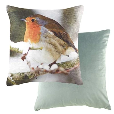 Image of Evans Lichfield Photo Robin Printed Feather Filled Cushion Multicolour One Size