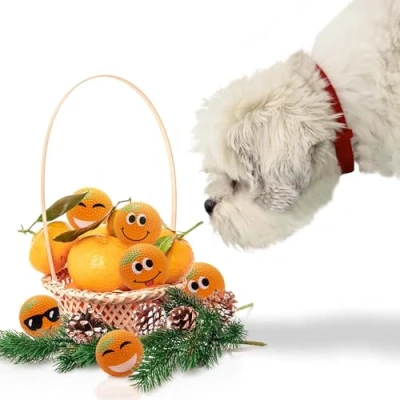 Image of SPORTSPET High Bounce Natural Rubber Dog Balls (High DIMPLE Mandarins 6 Pack Scented) (61mm)