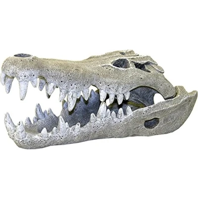 Image of Blue Ribbon Rosewood Nile Crocodile Skull Aquarium Decor, Small, Gray