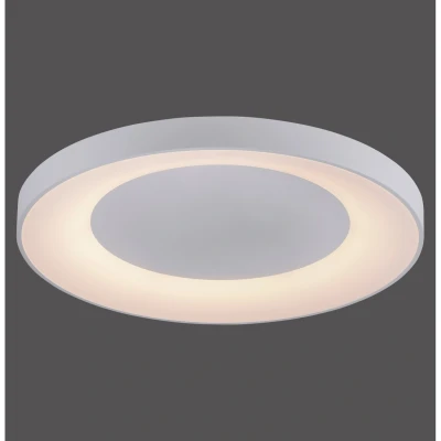 Image of Anika Flush Ceiling Light White 1x 54W LED 2700 5000K Dimmable