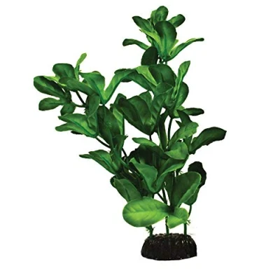 Image of Shinnerisa Green Silk Like Plant 30cm by KenKoi