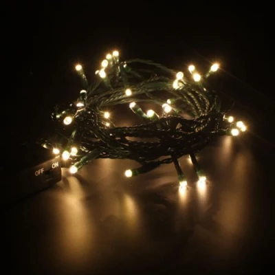 Image of Christmas Direct Indoor Battery Operated Fairy Lights Warm White Green Cable 2m 20 bulbs Static