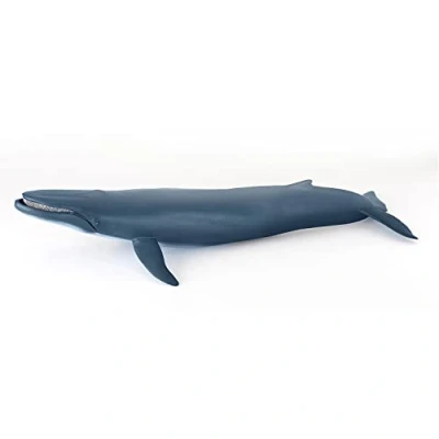 Image of Papo MARINE LIFE animaux Figurine, 56037 Blue Whale, Multicolour, Medium