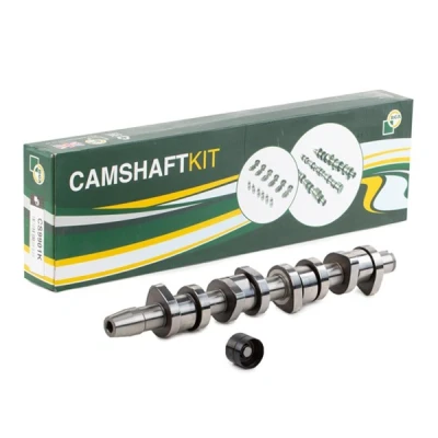 Image of 1100677, 1426035, XM216500BA Camshaft Kit BGA CS9901K Exhaust Side, Intake Side VOLKSWAGEN: Multivan 5 (7HM, Transporter Bus, Passat B5 Saloon