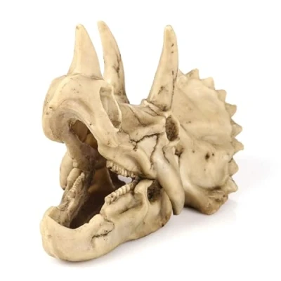 Image of VOANZO Resin Triceratops Skull Model Replica, Dinosaur Tooth Fossil, Photography Props Teaching Tool Home Ornament