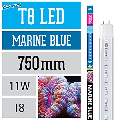 Image of Arcadia Classica T8 Marine Blue LED Aquarium Lamp 11W Length 750mm / 30&quot;