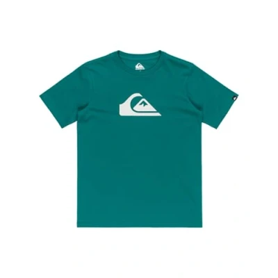 Image of Quiksilver LOGO Unisex Print Tshirt for kids, Size: 16t, Bran