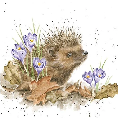 Image of Artistic Greeting Card (WRE CS165) Blank/Birthday &#039;New Beginnings&#039; Hedgehog and Crocuses from The Country Set Range Suitable for Birthdays Other Occasions