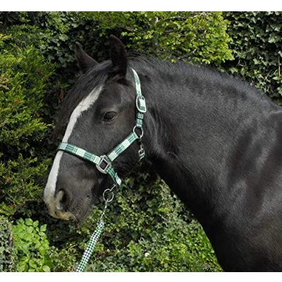 Image of Rhinegold Unisex&#039;s Carnival Headcollar &amp; Rope, Green Check, Pony