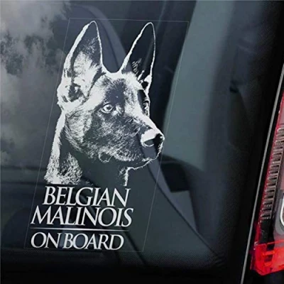 Image of Belgian Malinois on Board Car Sticker Mechelse Herder Pastor Dog Sign Decal Vinyl Window Bumper Stickers Die Cut Decals Present