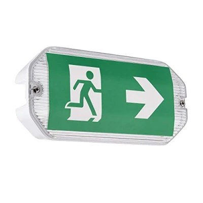 Image of Saxby 91358 Sight Eco IP65 Outdoor 3W Daylight White LED Emergency Maintained &amp; Non Light