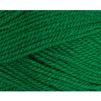 Image of Stylecraft 9041116 Special DK Green (1116) Yarn 100g