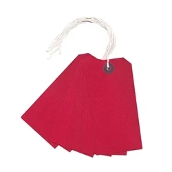 Image of Strung Tag 120x60mm Red (1000 Pack) KF01627