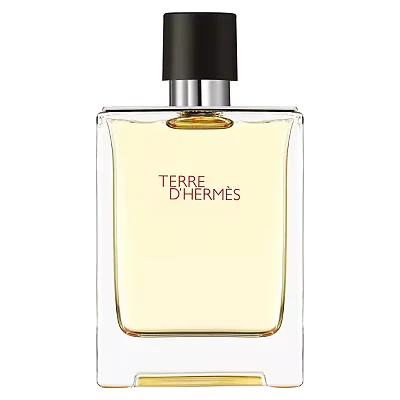 Image of Hermès Terre D&#039;hermès Eau De Toilette 100ml
