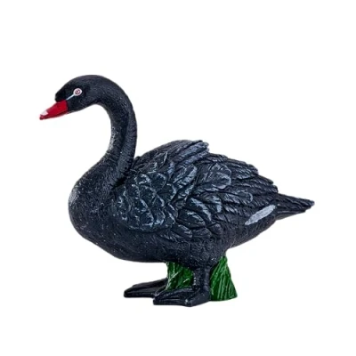 Image of Black Swan