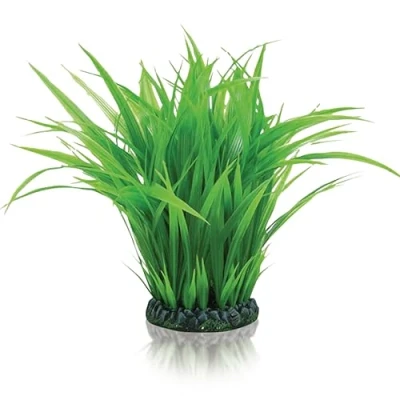 Image of biOrb Grass Ring L green