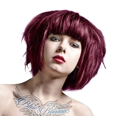 Image of La Riche Directions Semi Permanent Hair Colour 88ml x 2 tubs Dark Tulip