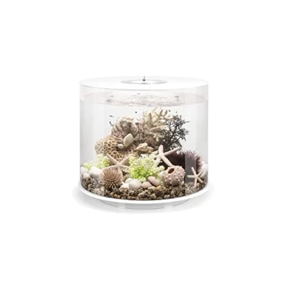 Image of Tube 35 Aquarium with MCR Light 9.2 Gallon, White