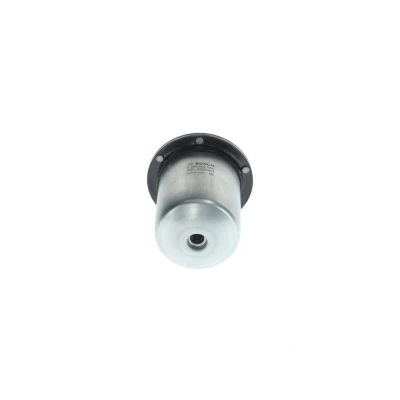 Image of 164000862R, 164005420R, 164007679R Fuel Filter BOSCH F 026 402 165 In Line 10mm RENAULT: Kangoo II Express, Captur, Clio 4