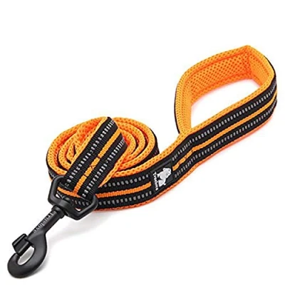 Image of WINHYEPET True Love Dog Leash Nylon Reflective Comfortable Handle Lead Puppy Training Walking Rope Easy Control Suitable Small Medium Large Breeds 110cm Length TLL2111(Orange,M)